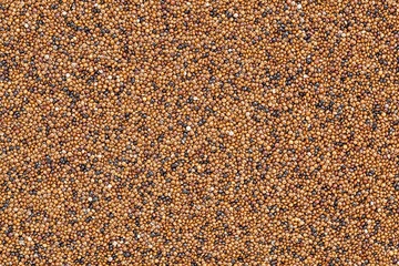 kaniwa grain background