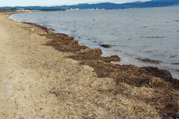 Sur les plages du Var en hiver