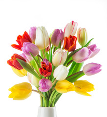 tulips over blurred green background