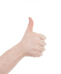 Hand isolated on white