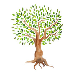 Vector watercolor tree isolated on white background
