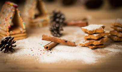 Christmas homemade gingerbread cookies