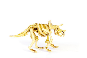 Dinosaur skeleton model isolated on white - Stock Image