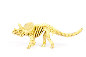 Fototapeta na wymiar Dinosaur skeleton model isolated on white - Stock Image
