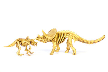 Fototapeta na wymiar Dinosaur skeleton model isolated on white - Stock Image