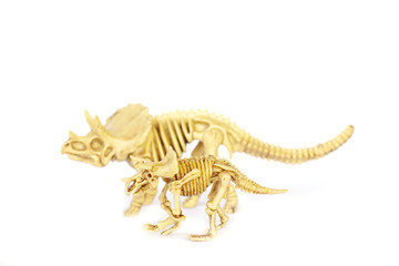 Dinosaur skeleton model isolated on white - Stock Image