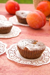 Plum chocolate cake