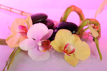 Fototapeta na wymiar Spa stones with orchid and bamboo on light background