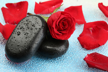Spa stones and rose petals on colorful background
