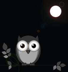 Monochrome owl bathed in moonlight