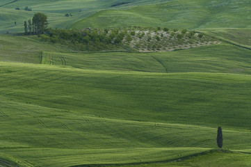 Fototapeta na wymiar Stunning Landscape in Tuscany, Italy