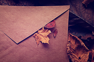 paper letter fallen leaves concept