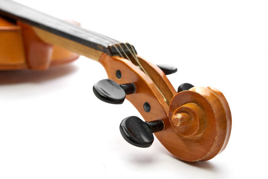 violin on white background
