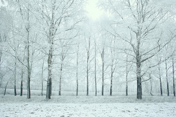 Fototapeta na wymiar winter landscape nature without people