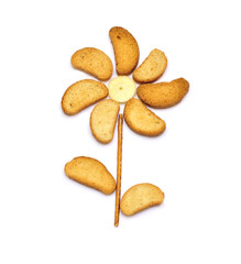 Funny flower of crackers and breadsticks