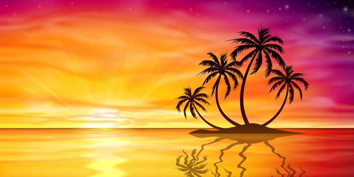 Sunset, Sunrise with Palm Tree