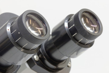 microscope ocular