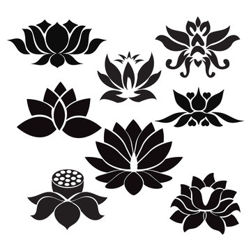Lotus flowers  Tattoo - Illustration on white background