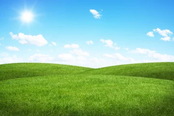 Foto op Plexiglas Platteland Green field and blue sky