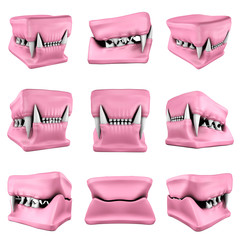 3d models of cat teeth cast.