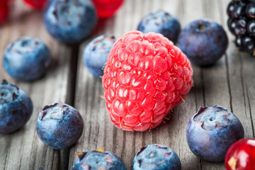 Blueberries background