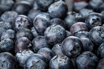 Blueberries background