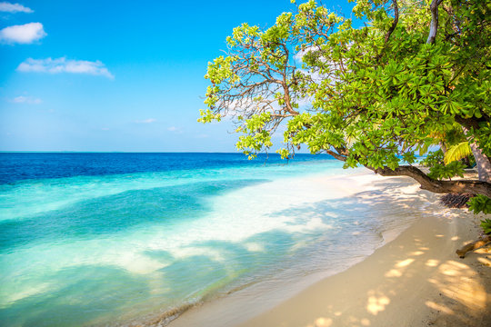 Maldives beach