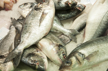 Fototapeta premium Fresh fish