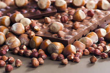 chocolate bars with hazelnuts