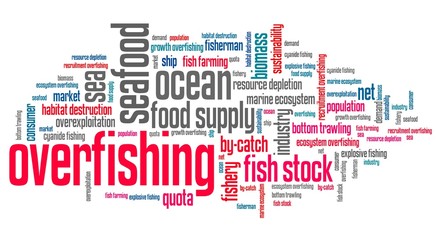 Obraz premium Overfishing - words set