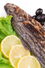 seabass grilled