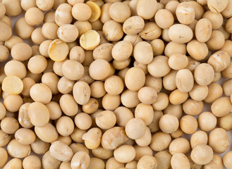 soya beans isolated on white