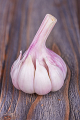 garlic