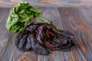 red and green lettuce