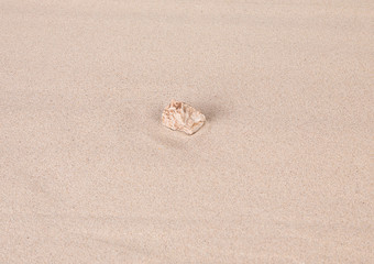Fototapeta na wymiar Lonely stone on the sand.