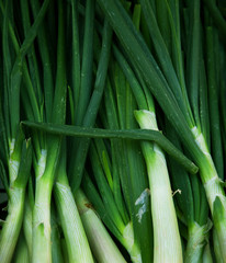Close up of chives