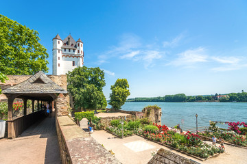 Burg, Eltville am Rhein, Rheingau, Deutschland 