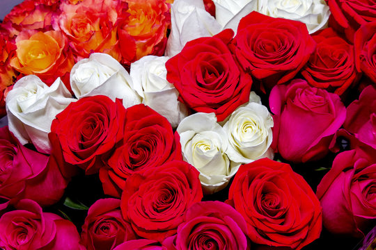 great image of a beautiful bouquet of red and white roses