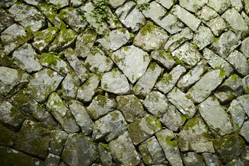 Wall Detail