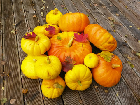Pumpkin