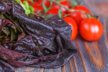 red and green lettuce