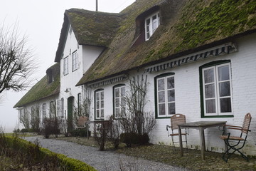 Fototapeta na wymiar Friesisches Bauernhaus im Morgennebel