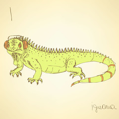 Sketch fancy iguana in vintage style