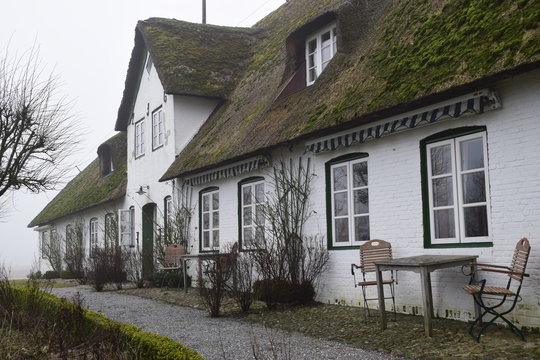 Friesisches Bauernhaus im Morgennebel