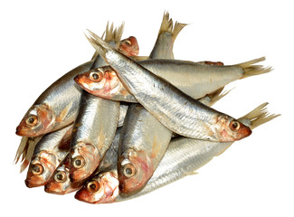Fresh Fish Sprats