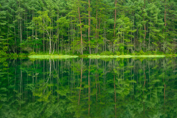 Mishaka Pond in Nagano, Japan