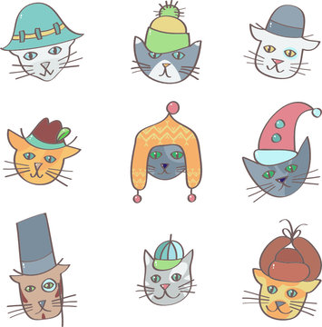 Cats in hats