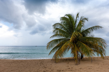 Fototapeta premium Beach on tropical island. Clear blue water, sand, palms.