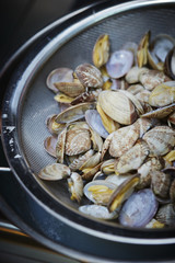 clams