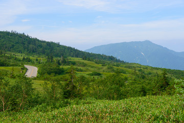 Midagahara in the Tateyama mountain range in Toyama, Japan